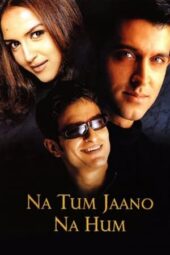 Poster of Na Tum Jaano Na Hum 2002 WebRip 720p movie