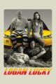 Logan Lucky (2017) BluRay Dual Audio Hindi Dubbed 720p